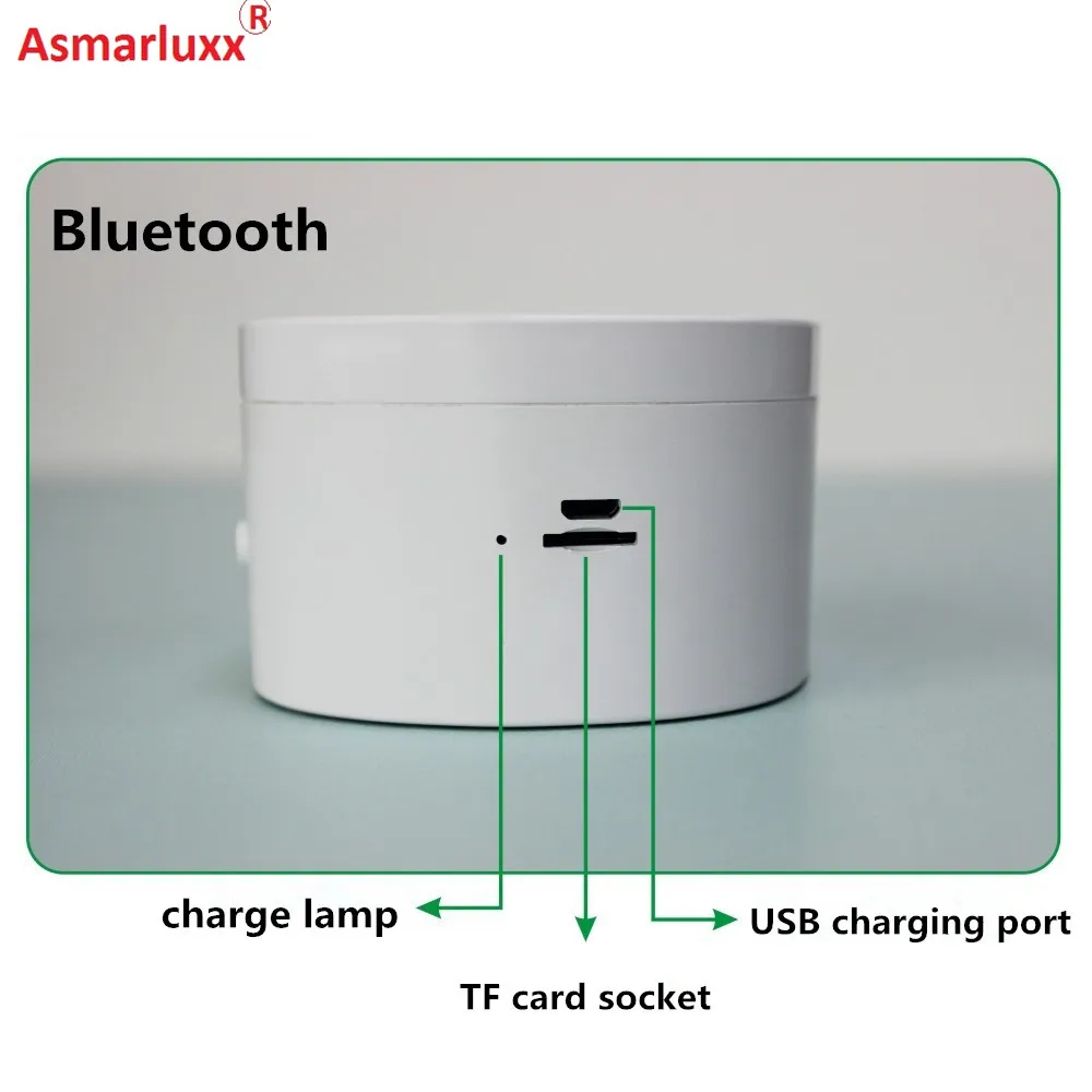 Asmarluxx lamp base003
