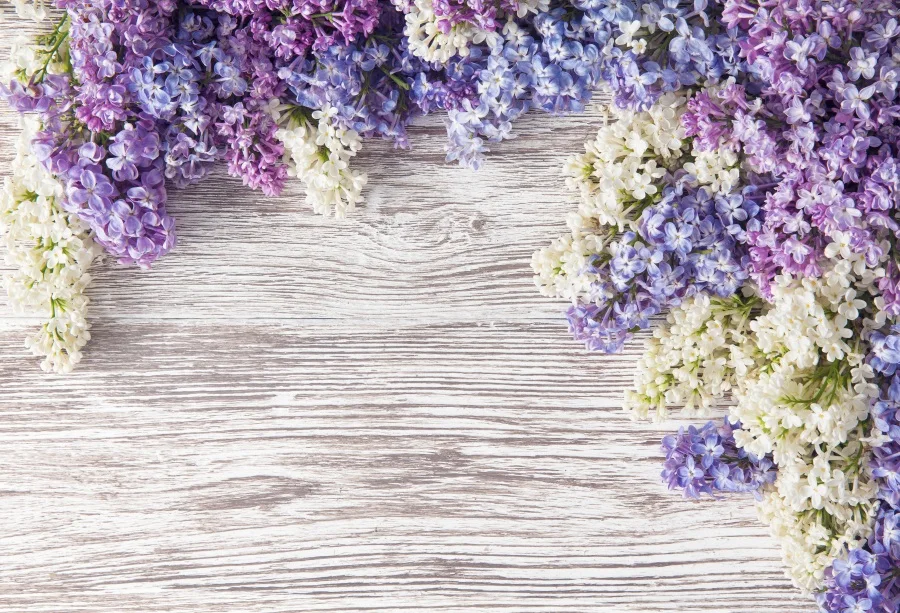 

Laeacco Wooden Board Blooming Flowers Baby Newborn Photography Background Customized Photographic Backdrops For Photo Studio