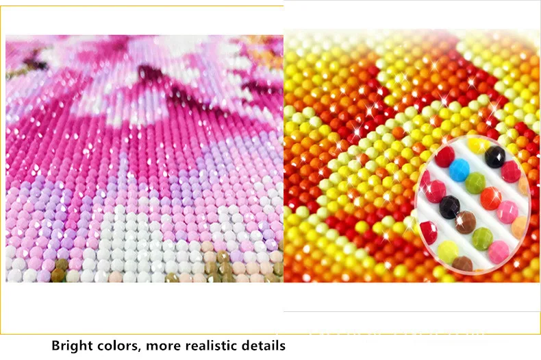 9519431696_1444753329