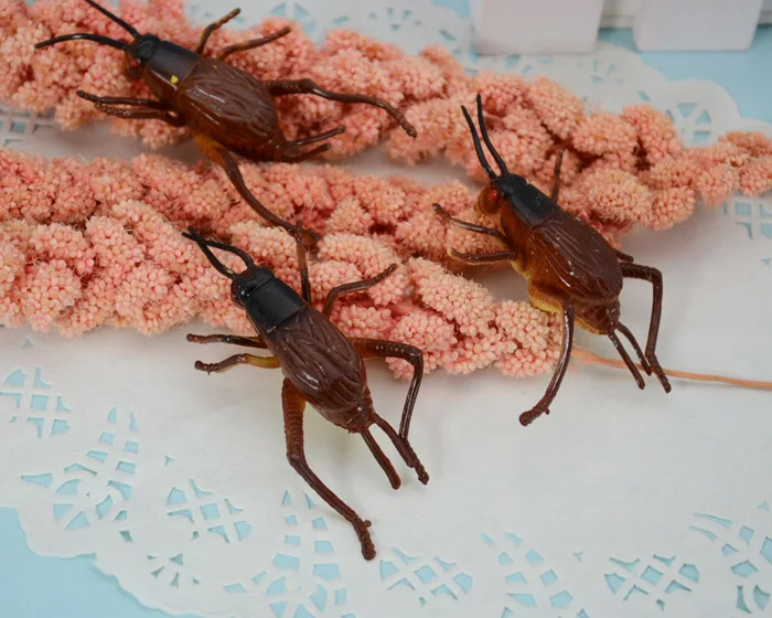 Model toy tricky toy cricked grasshopper  6-12cm