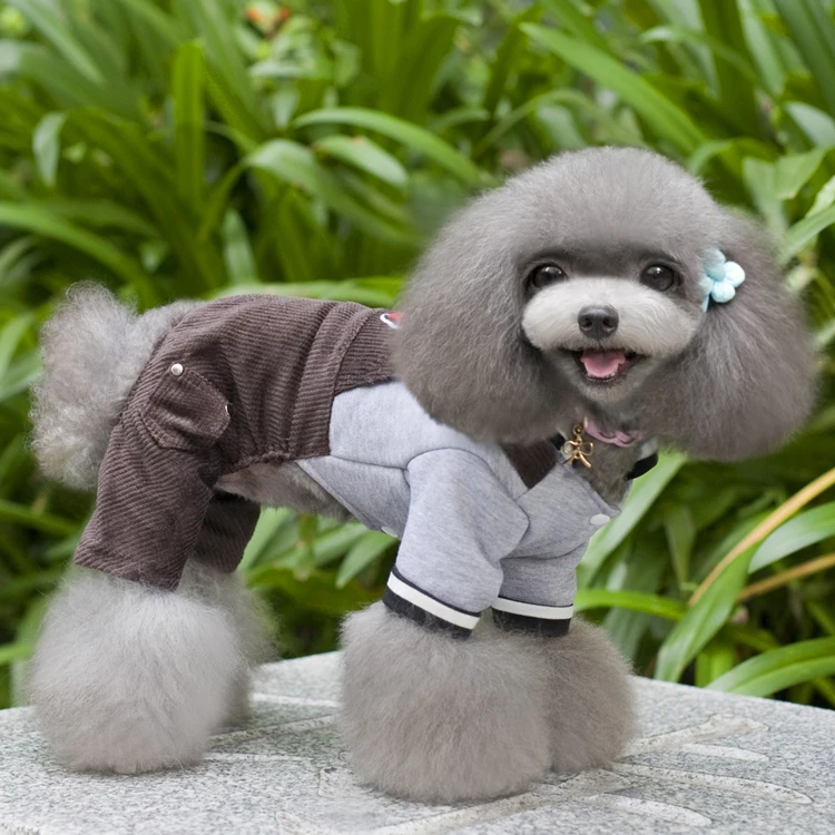 dogs with grey fur