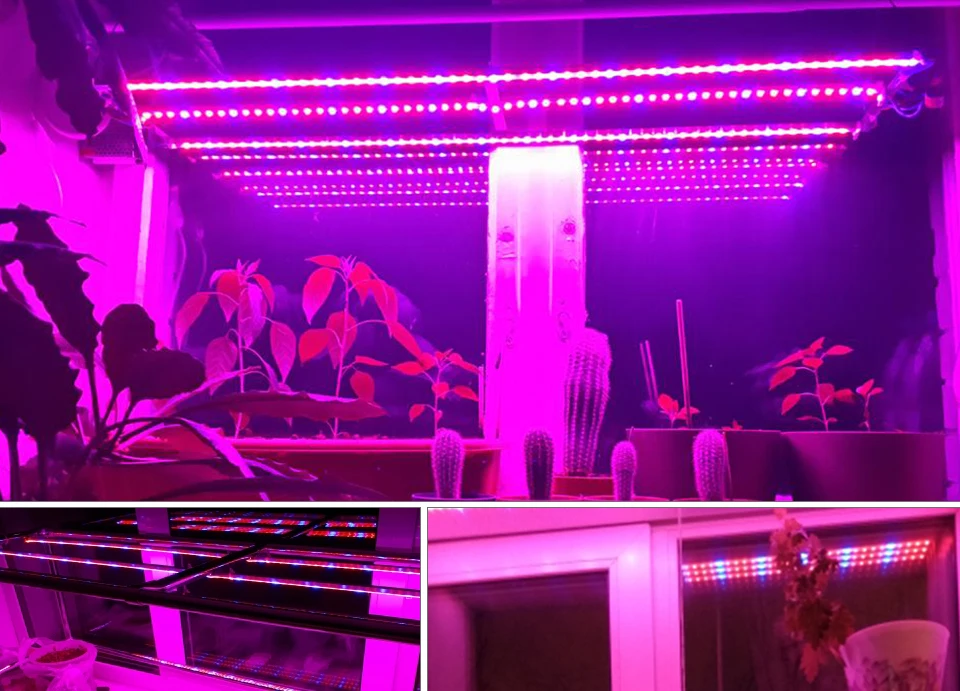 LED Grow Light Full Spectrum 5M LED Strip Light Set Dimmable (13)