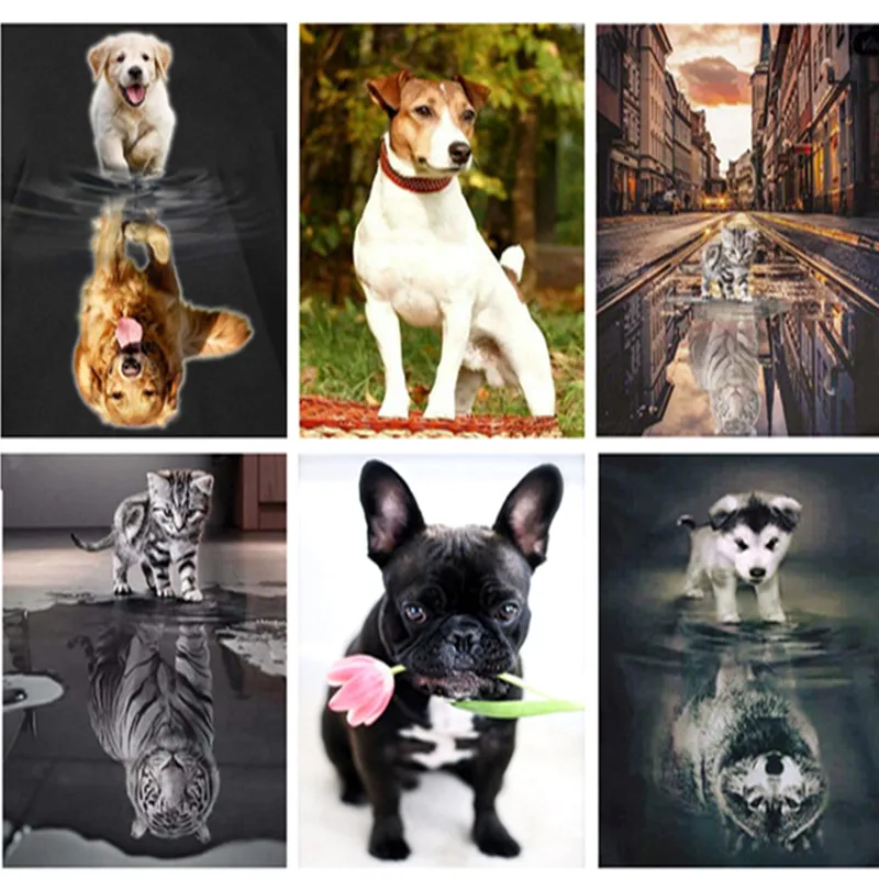 dog- (24)