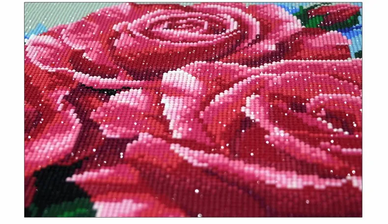 rose (3)
