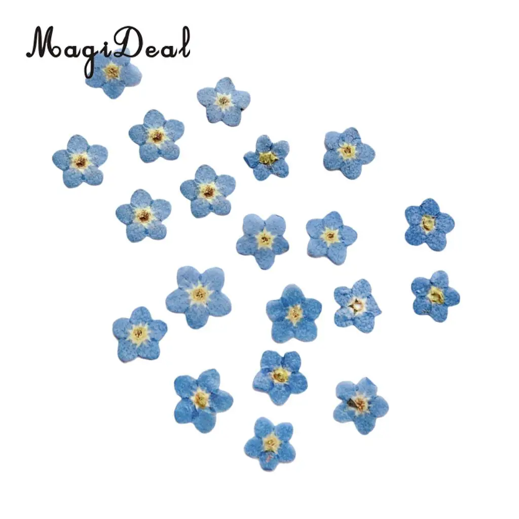 10x Pressed Real Dried Flower Dry Leaves for DIY Crafts Bookmark Card Making	