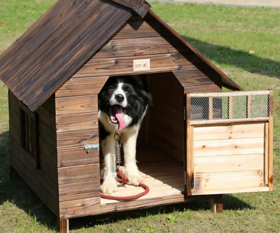 Hot sale Kennel outdoor balcony carbonized fir anti 