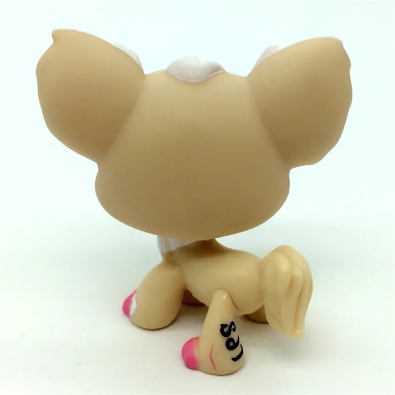 lps102-3