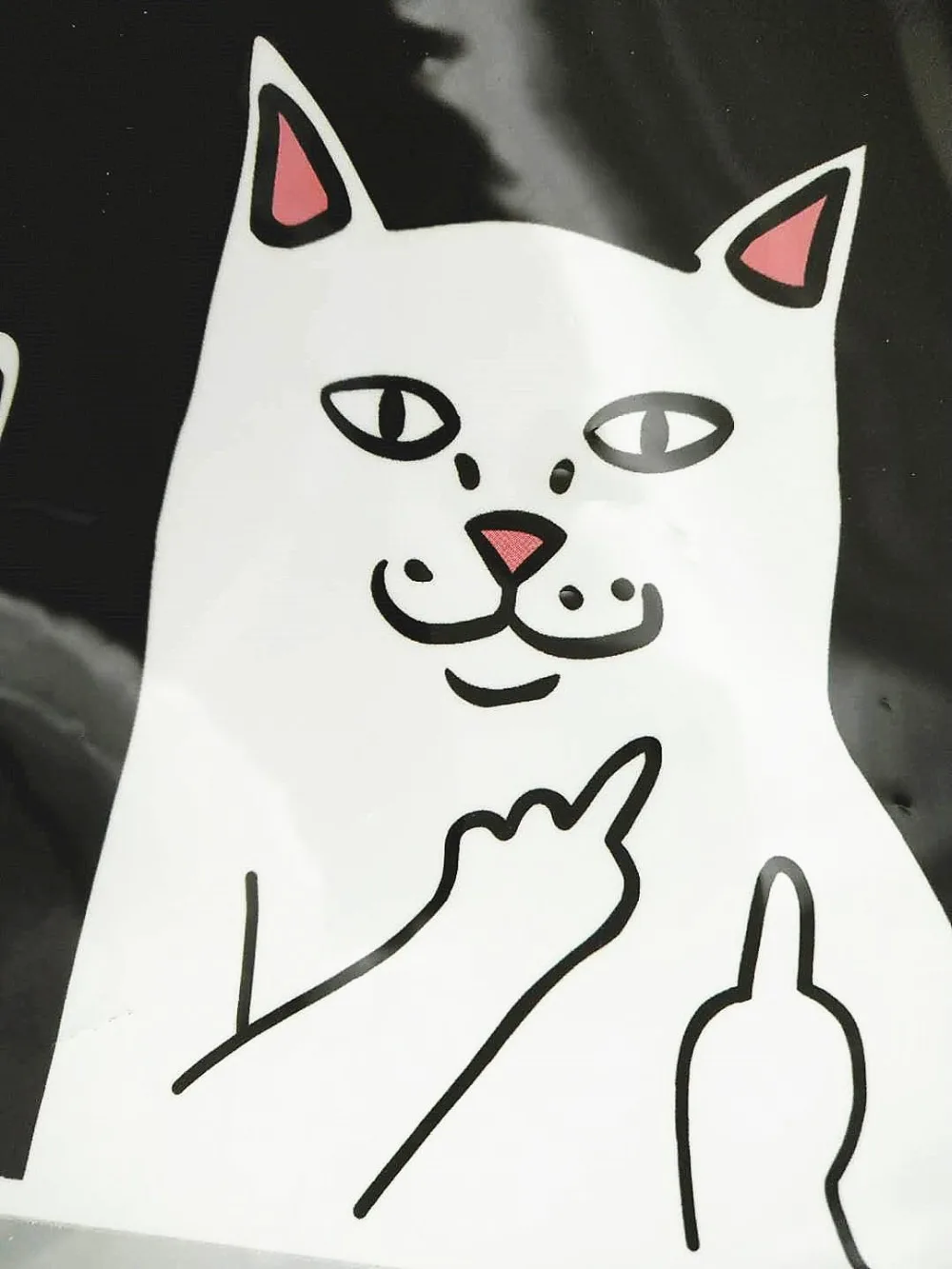1 шт. go Out забавный кот со средним пальцем дети взрослая футболка платья для женщин свитер стираемые наклейки термальность передачи печатных