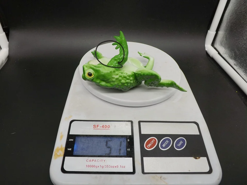 J165-Frog (11)