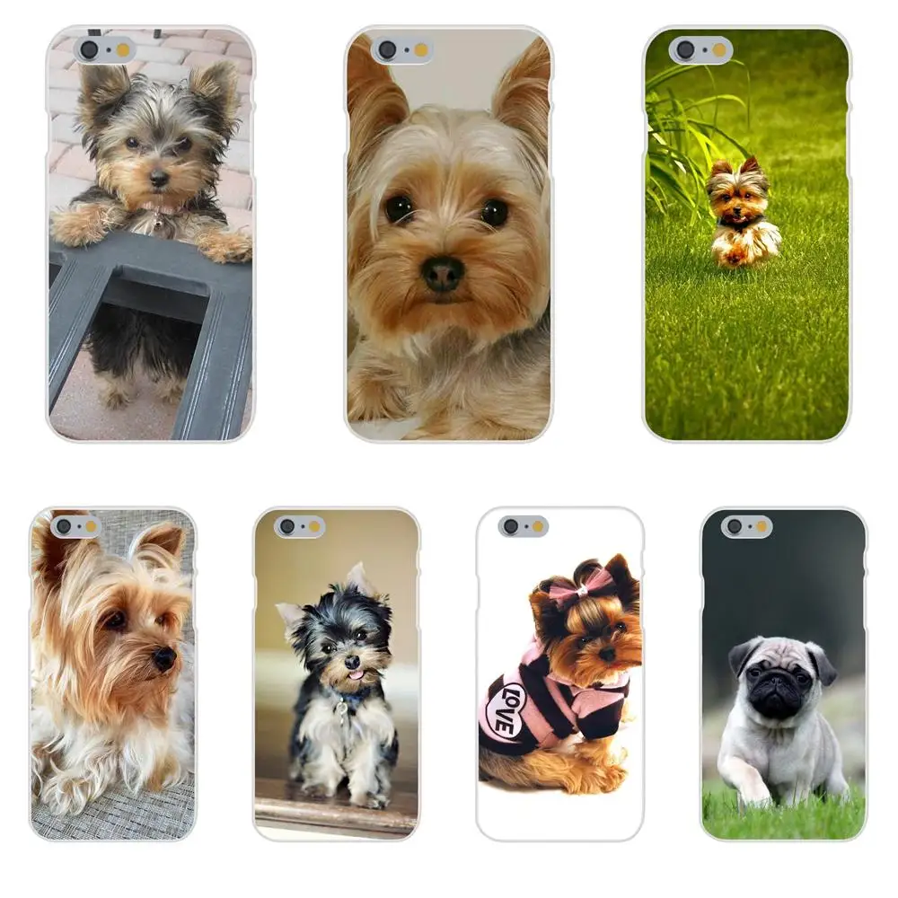 Soft Cell Phone Shell Yorkshire Terrier Puppy Dog For Huawei P7 P8 P9 P10 P20 P30 Lite Mini Plus Pro 2017 2018 2019 | Мобильные