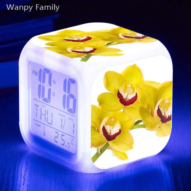 商标20