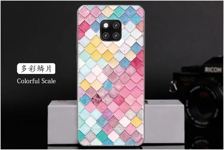  Colorful Scale