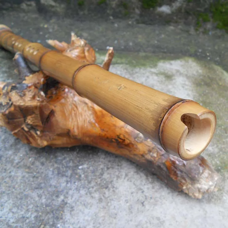 Китайская бамбуковая флейта Nan Xiao японский ключ Shakuhachi G/F вертикальный деревянный