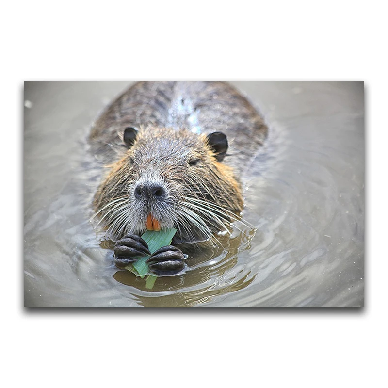 DIY 3D Diamond mosaic animal Full Round Diamond painting beaver Full Square Diamond embroidery Cross stitch Water Mouse