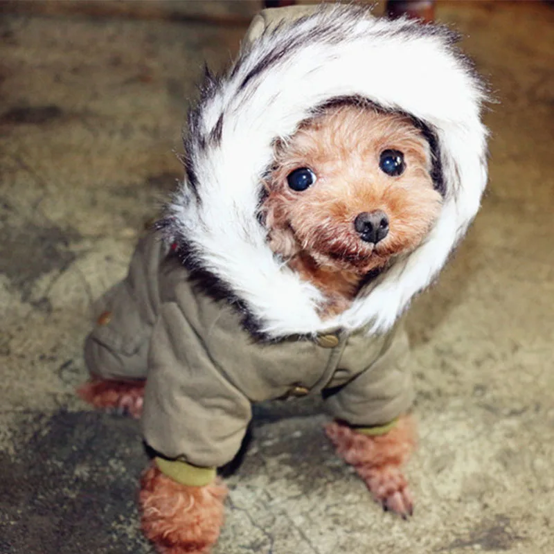Одежда для маленьких собак, хлопковый комбинезон для щенков, чихуахуа, мотоциклистов, пальто, зимний теплый костюм для питомцев, куртка