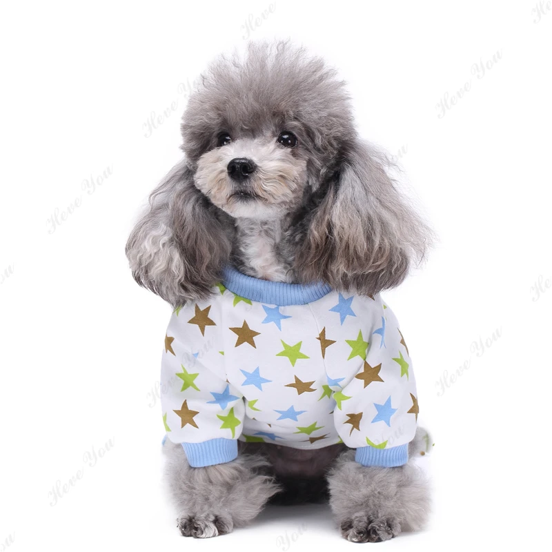 Dog_2190