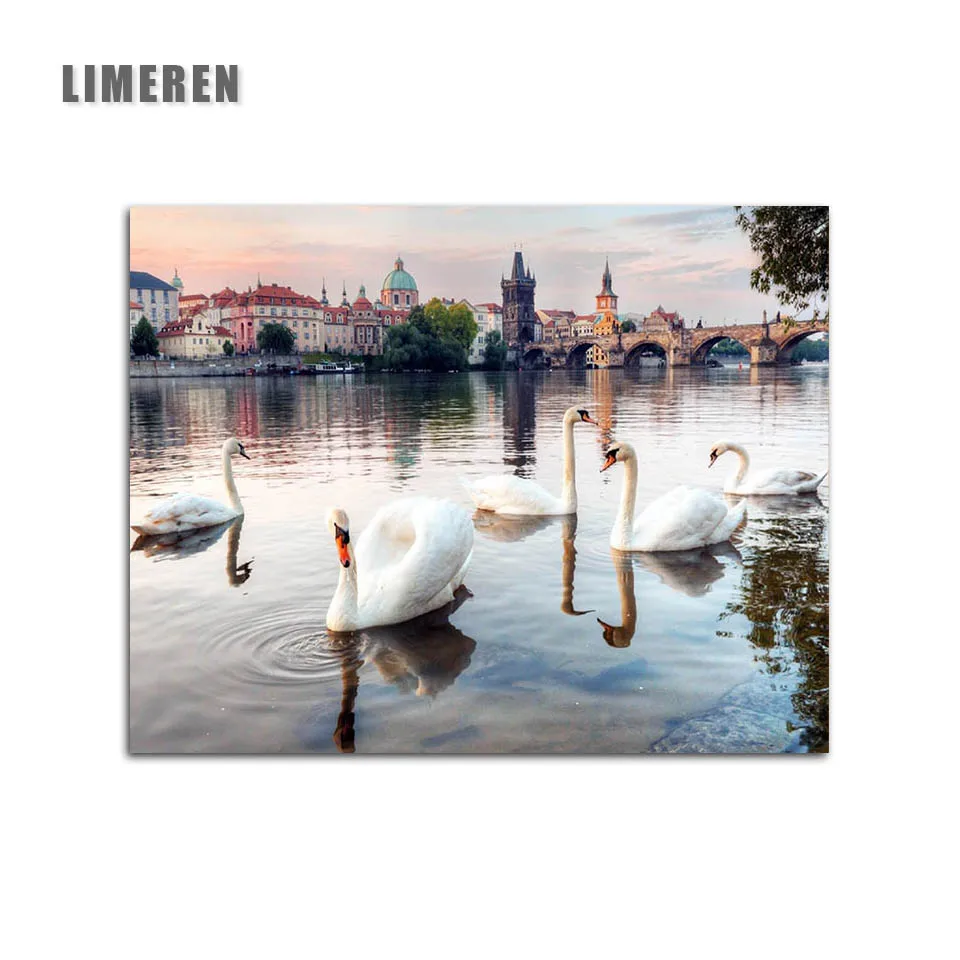 

Digital Diy Oil Painting By Numbers Figure Wall Decor Picture On Canvas Oil Paint Coloring By Number Drawing Animals Swan