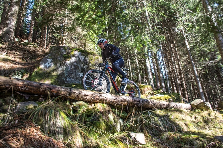 HTB1TGD5sXGWBuNjy0Fbq6z4sXXar