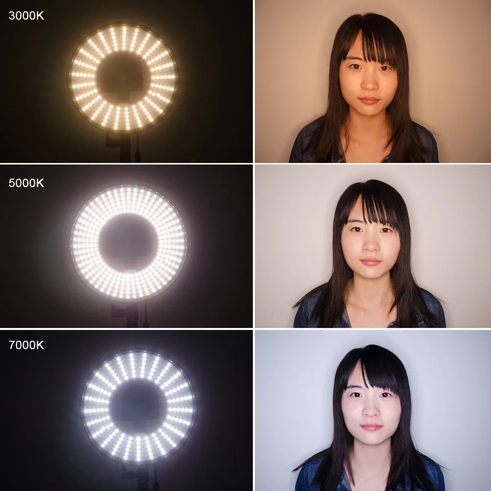 FalconEyes DVR-300 Dual Color 300 LED Ring Light 5