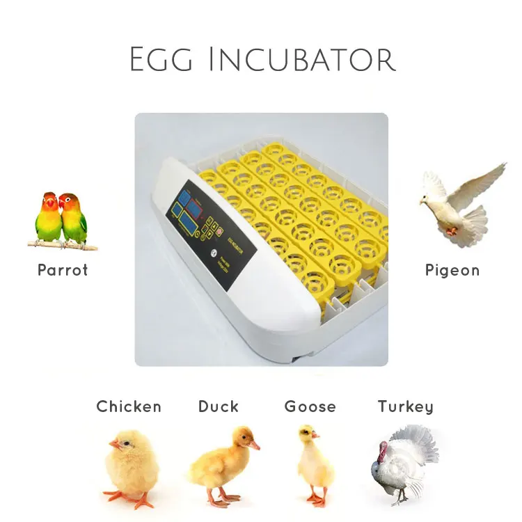 32-eggs-incubator-751