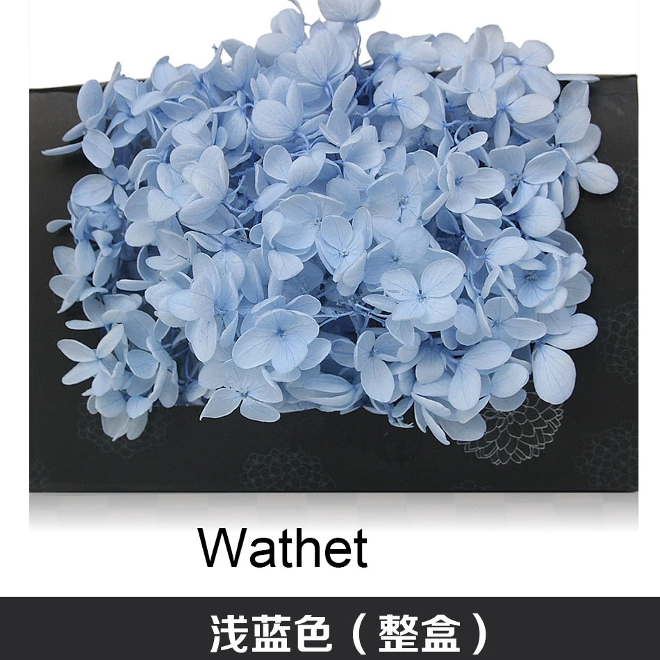 20g/lot High Quality Natural Fresh Preserved Flowers Dried Hydrangea Flower Head For Diy Real Eternal Life Flowers Material