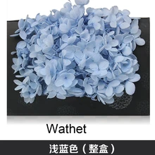 20g/lot High Quality Natural Fresh Preserved Flowers Dried Hydrangea Flower Head For Diy Real Eternal Life Flowers Material