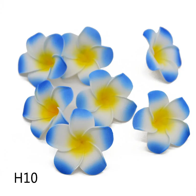 H10