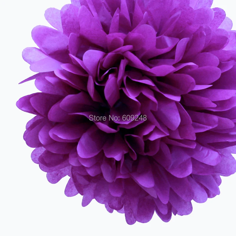 alipom8004.jpg