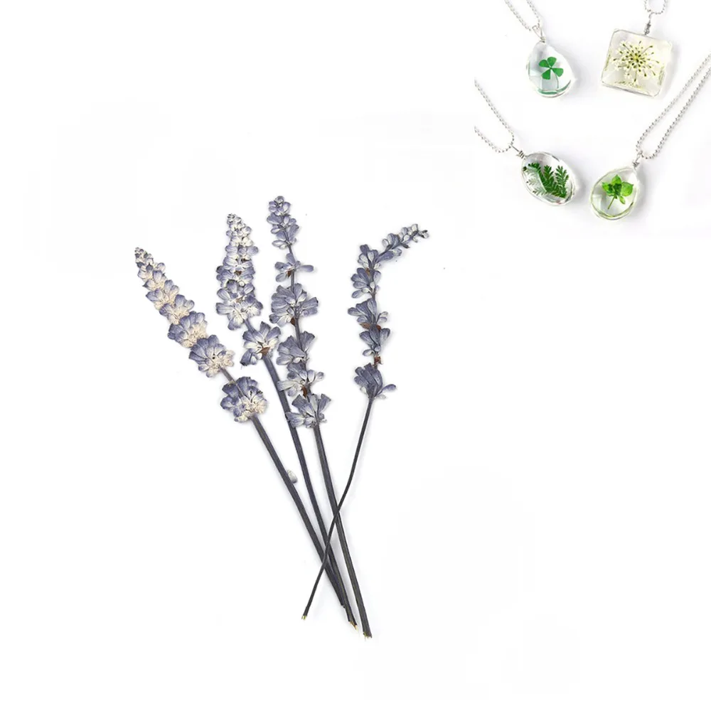 

DoreenBeads Real Dried Flower Resin Jewelry DIY Making Craft Purple 16.5cm x1.8cm - 11cm x1.8cm, 1 Packet ( 8 PCs/Packet)