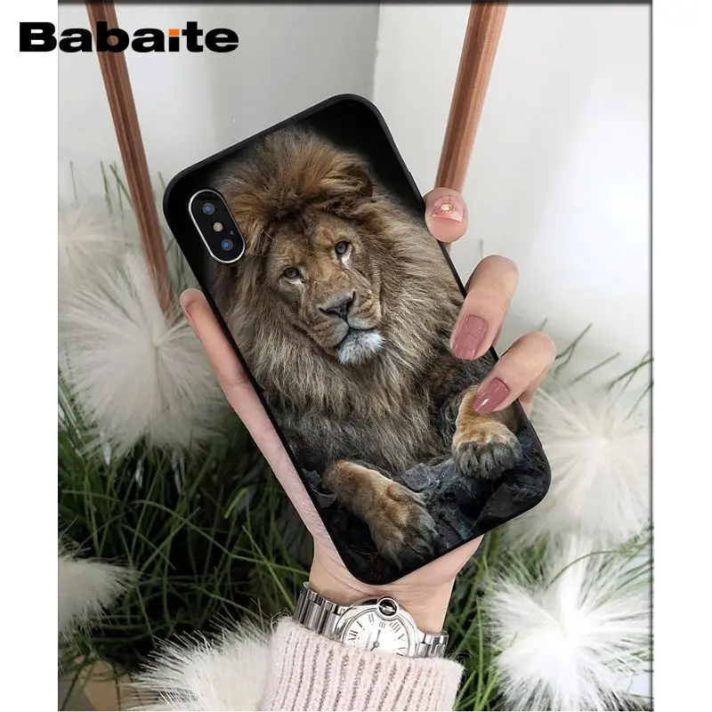 Animals lion