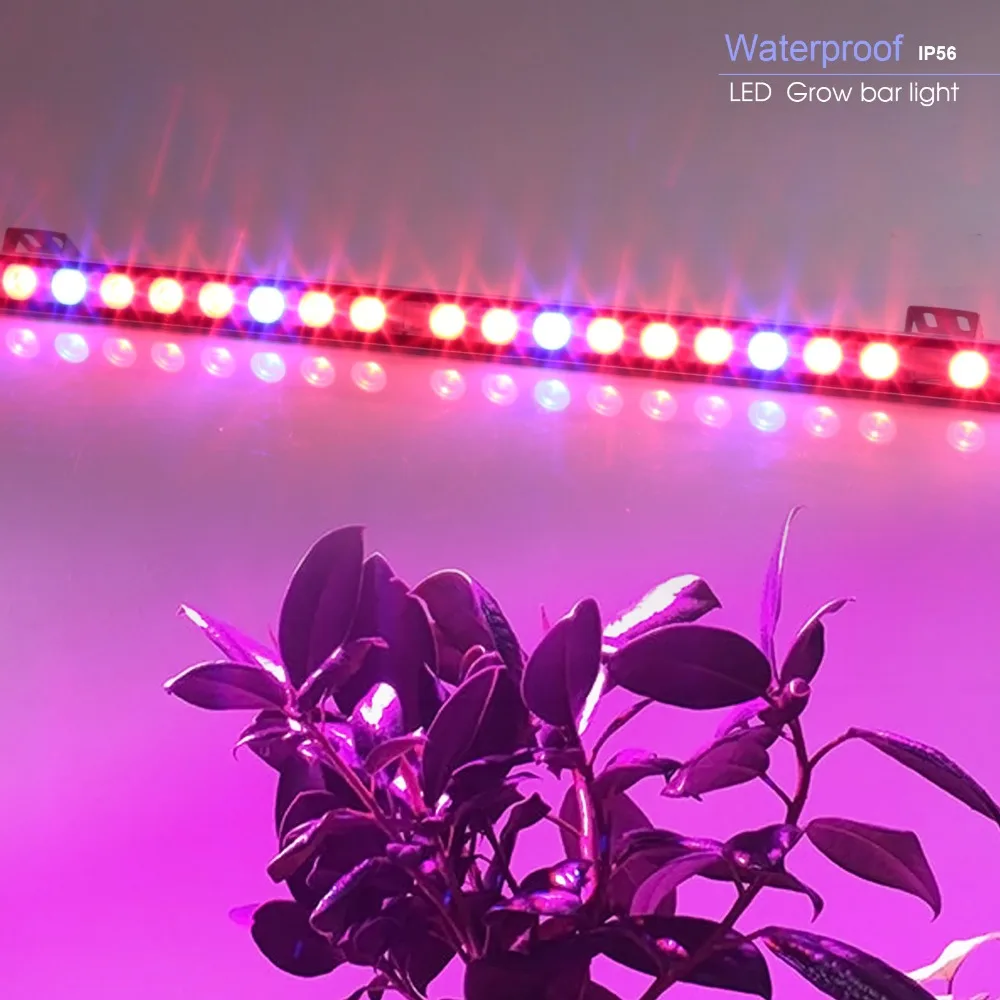 10pcs/lot 81w Waterproof Red+Blue LED grow bar light strip grow box