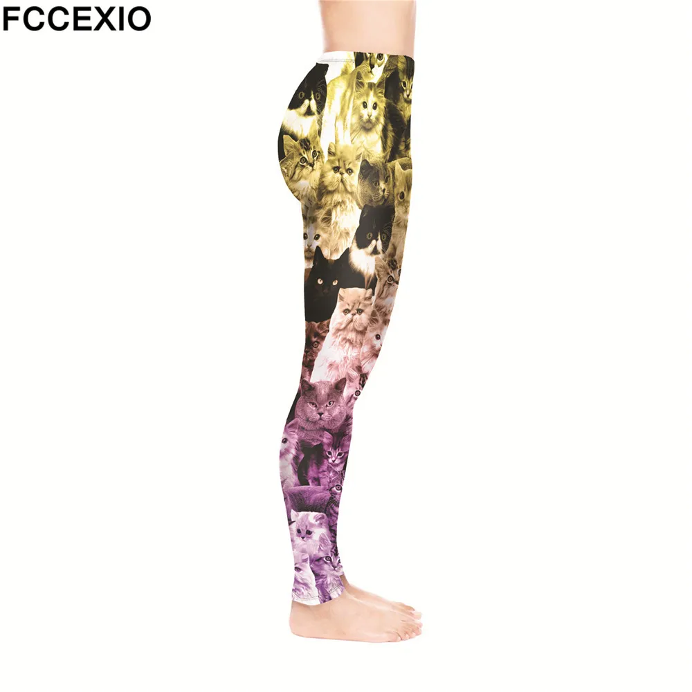 52180 CATS YELLOW VIOLET (4)