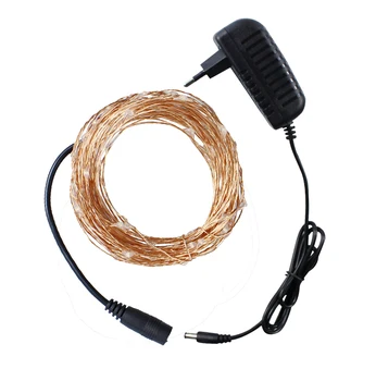 

Multi Color 12V DC 33ft(10M) Copper Wire LED String Light,Decorate for Christmas,wedding,Halloween,Includes Power Adapter(Rgb)