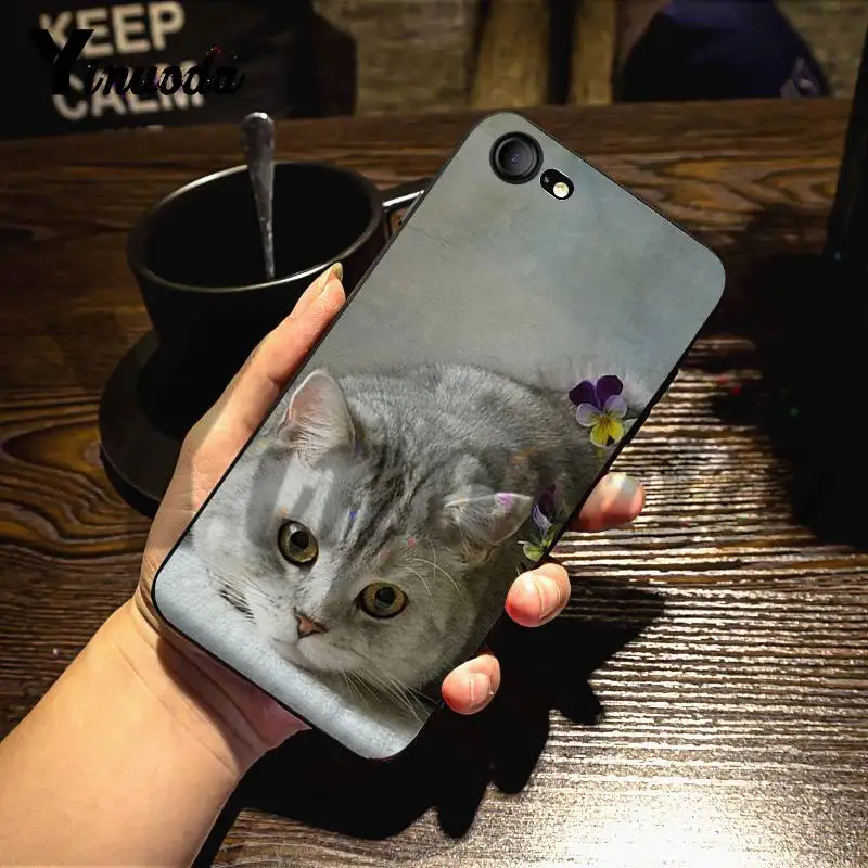 Чехол Yinuoda для iphone 7 6 X дизайнерский чехол с британской короткошерстной кошечкой