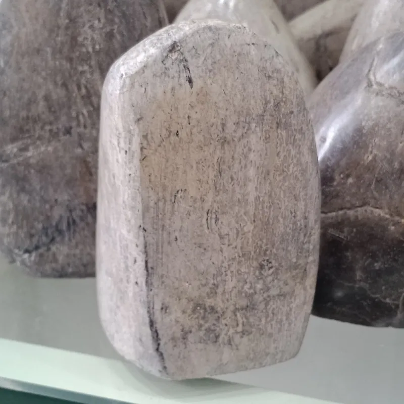 conew_img20190414164233