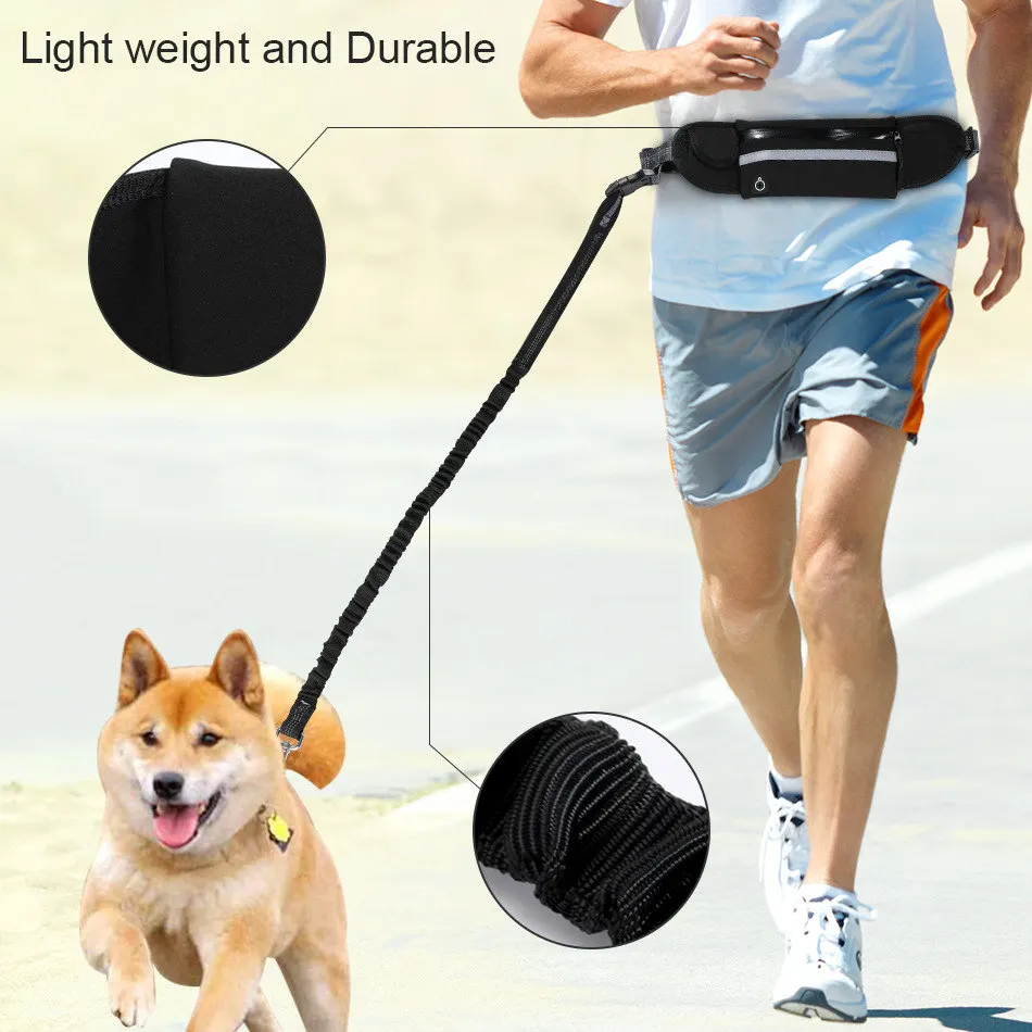leash cat