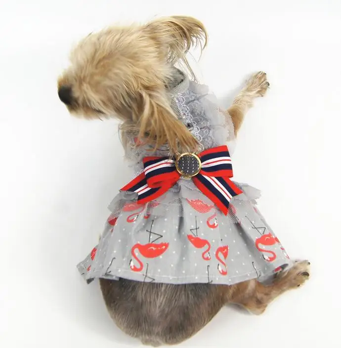 QQ截图20190611162512