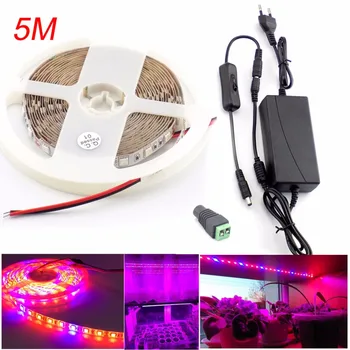 

5M Led plant Grow Strip Light DC 12V Waterproof 3 4 5 Red 1 Blue flower Lamp for indoor greenhouse Hydroponics Adapter Aquarium