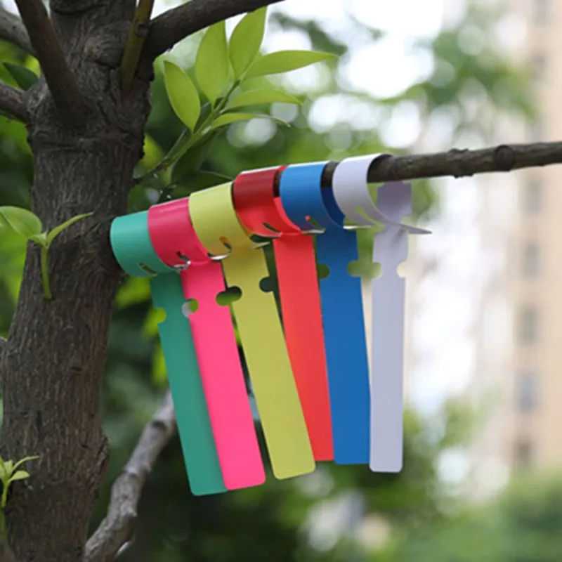 30pcs gardening garden hang tag label hanging tree seedling plant fruit ...
