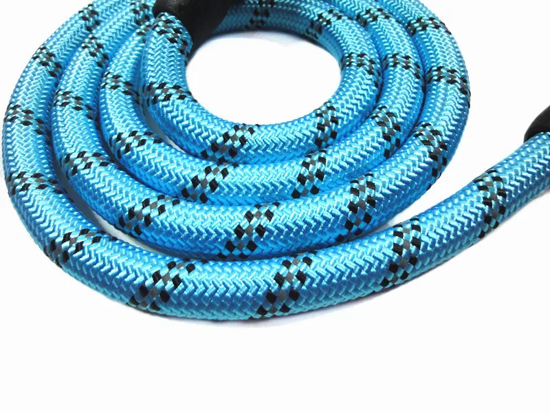 dog chain 