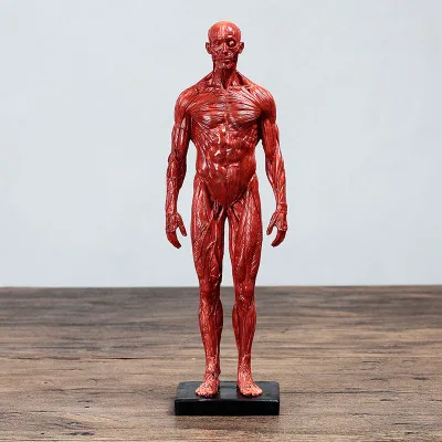 TB2TfVjdwvD8KJjSsplXXaIEFXa_!!3325464892.jpg_400x400