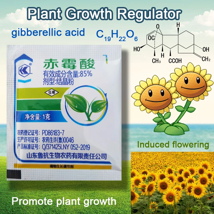 1 г концентрат гибберелловой кислоты 920 регулятор роста растений разрыв сна удобрения увеличение производства для домашнего сада бонсай