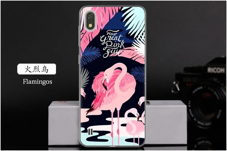  Flamingos