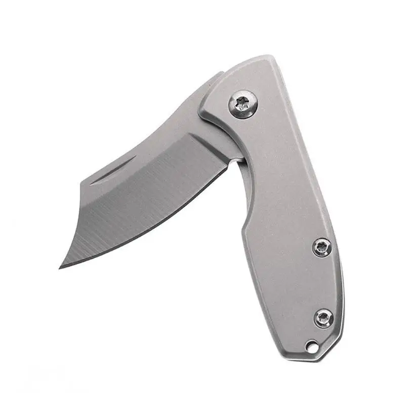

Keychain Knife Camping Knife Folding Knife Edc Tool With Hiking Equipment
