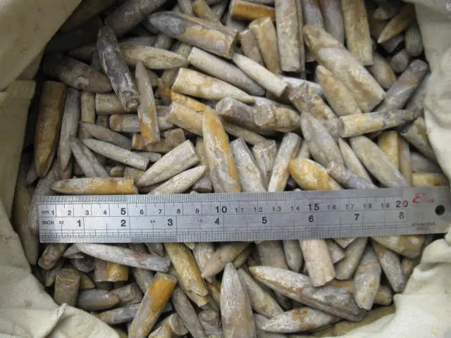 

1000g(2.2lb) Natural Rare The arrow fish fossil specimens (Belemnoidea)