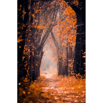 

Thin vinyl photography backdrops forest computer Printing background for photo studio F-2752