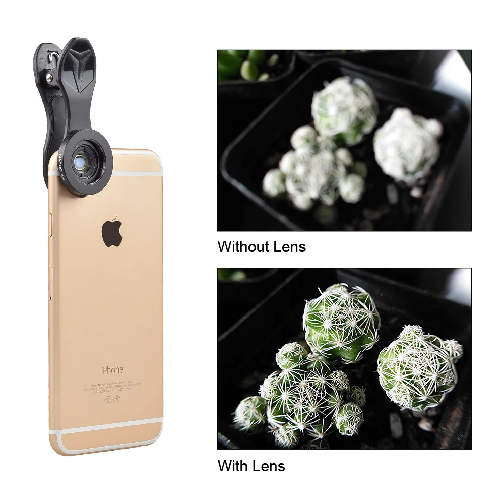 4013523667_155173937
