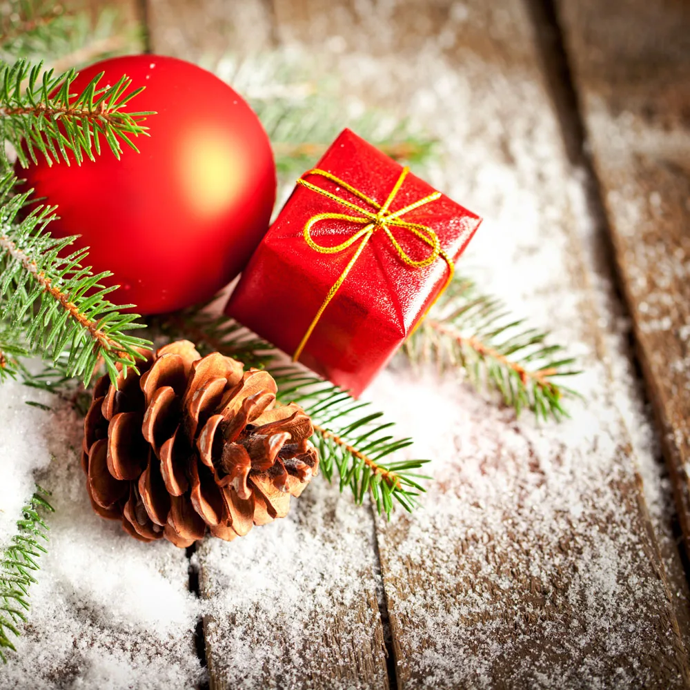 

10x10ft Vinyl Custom Photography Backdrop Prop Festival theme Photo Studio Backgrounds JRI-1113