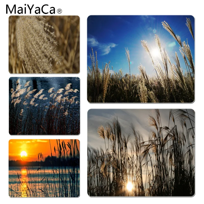 MaiYaCa Reeds under the sun Customized laptop Gaming mouse pad Size for 18X22CM Speed Version Gaming Mousepads