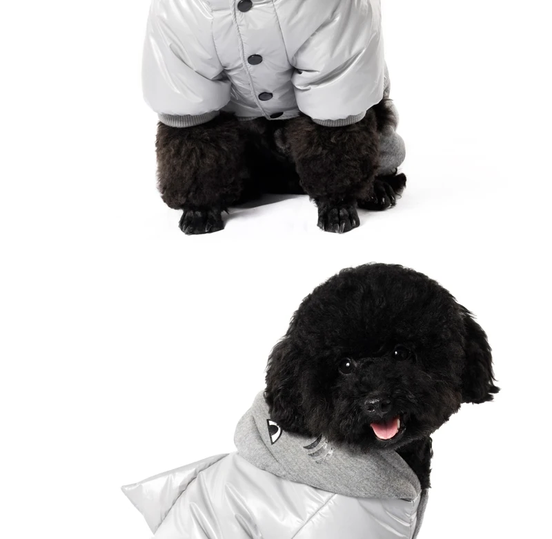 8 winter dog clothes 